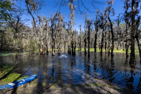 Villa ou maison à louer à Gainesville, Floride: 3 chambres, 209.03 m2 № 1843713 - photo 2