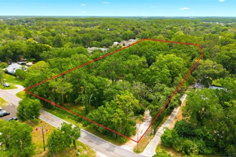Villa ou maison à vendre à Odessa, Floride: 3 chambres, 146.6 m2 № 2149346 - photo 2