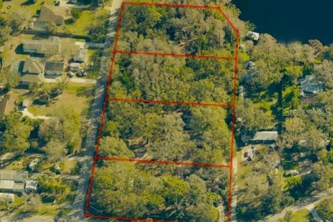 Villa ou maison à vendre à Odessa, Floride: 3 chambres, 146.6 m2 № 2149346 - photo 7