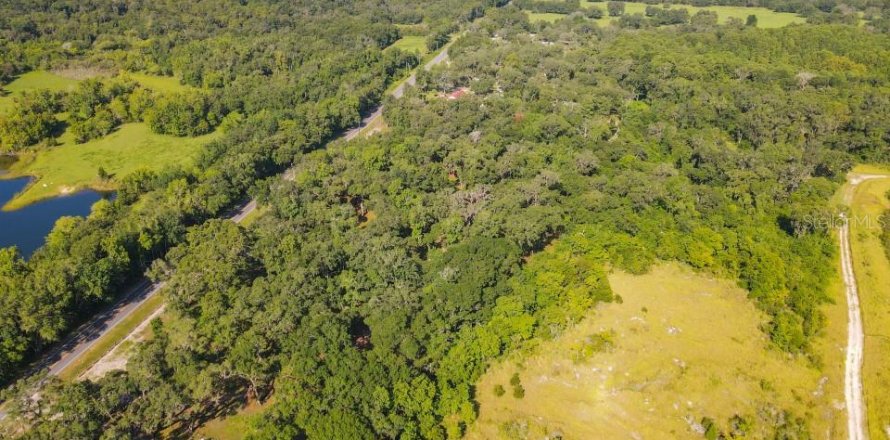 Land in Bushnell, Florida № 610760