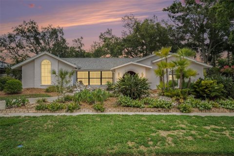 House in Tampa, Florida 6 bedrooms, 284.1 sq.m. № 1786401 - photo 4