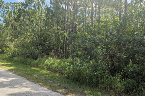 Land in Indian lake estates, Florida № 2197338 - photo 10