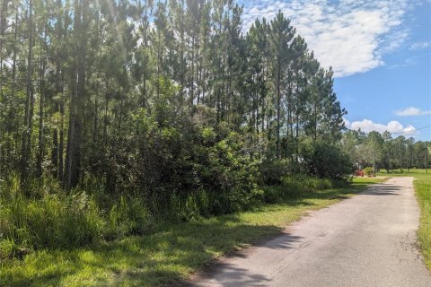 Land in Indian lake estates, Florida № 2197338 - photo 11