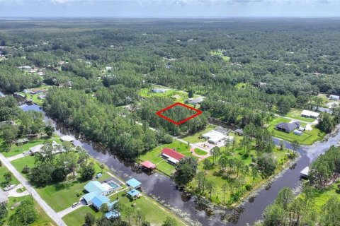 Land in Indian lake estates, Florida № 2197338 - photo 14