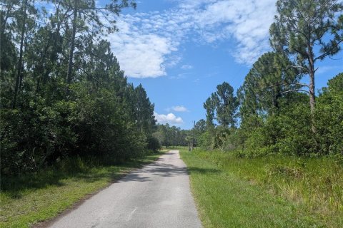 Land in Indian lake estates, Florida № 2197338 - photo 8