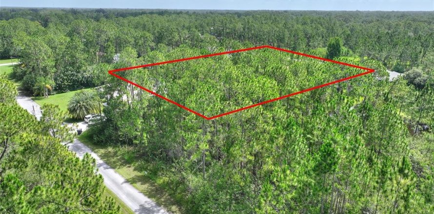 Land in Indian lake estates, Florida № 2197338