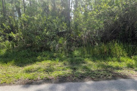 Land in Indian lake estates, Florida № 2197338 - photo 9