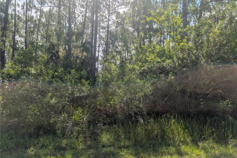 Land in Indian lake estates, Florida № 2197338 - photo 12