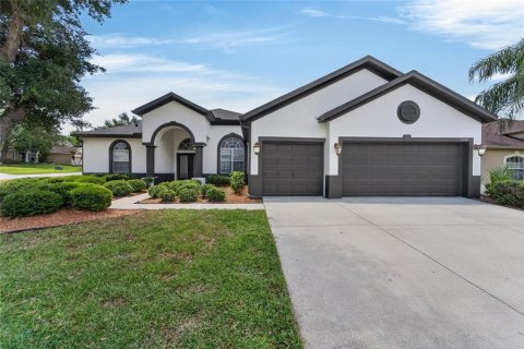Casa en Valrico, Florida 4 dormitorios, 244.98 m2 № 2110054