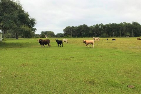 Terreno en venta en Leesburg, Florida № 1807942 - foto 14