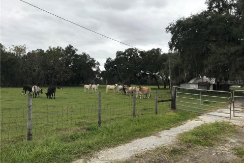 Terreno en venta en Leesburg, Florida № 1807942 - foto 16