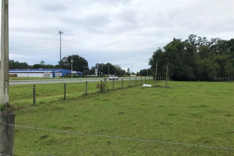 Terreno en venta en Leesburg, Florida № 1807942 - foto 17
