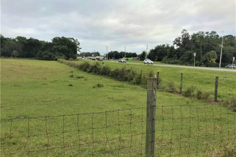 Terreno en venta en Leesburg, Florida № 1807942 - foto 18
