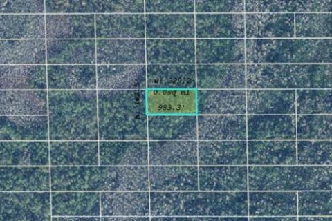 Land in Orlando, Florida № 2161391 - photo 2