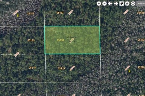 Land in Orlando, Florida № 2161391