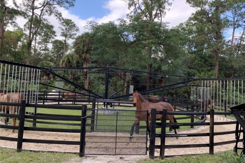 Villa ou maison à louer à Loxahatchee Groves, Floride: 3 chambres, 162.3 m2 № 1891916 - photo 27
