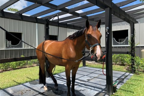 Villa ou maison à louer à Loxahatchee Groves, Floride: 3 chambres, 162.3 m2 № 1891916 - photo 26