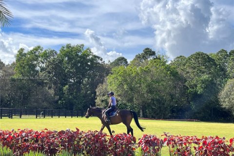 Villa ou maison à louer à Loxahatchee Groves, Floride: 3 chambres, 162.3 m2 № 1891916 - photo 19