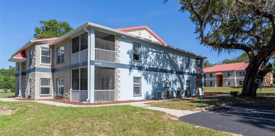Apartment in Dade City, Florida 2 bedrooms, 148.64 sq.m. № 2212559