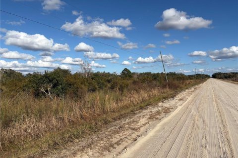 Land in Okeechobee, Florida № 2163466 - photo 3
