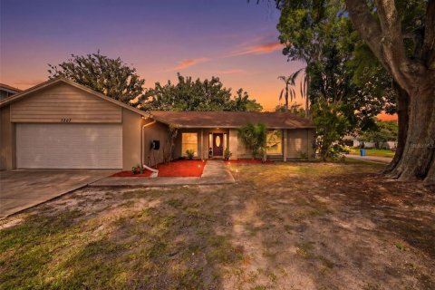 Villa ou maison à vendre à Tampa, Floride: 4 chambres, 240.52 m2 № 2207389 - photo 2