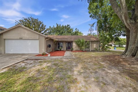 House in Tampa, Florida 4 bedrooms, 240.52 sq.m. № 2207389