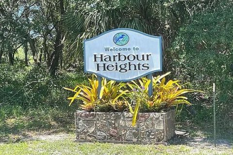 Land in Punta Gorda, Florida № 1628247 - photo 1