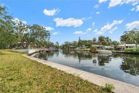 Commercial property in New Port Richey, Florida 4 bedrooms, 212.1 sq.m. № 2211185 - photo 9