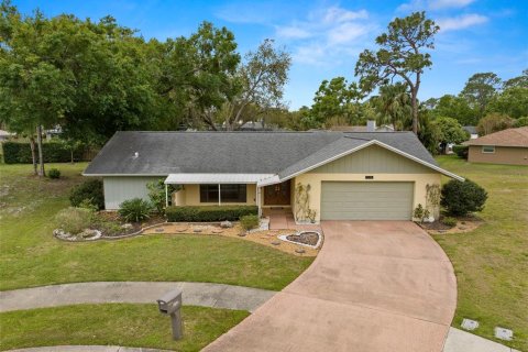 Villa ou maison à vendre à Palm Harbor, Floride: 3 chambres, 191.56 m2 № 1609239 - photo 1