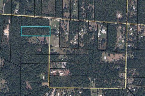 Land in Keystone Heights, Florida № 1912332 - photo 2