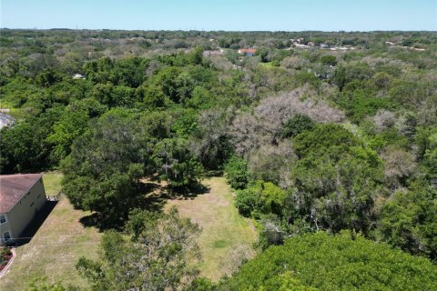 Land in Safety Harbor, Florida № 1544767 - photo 1
