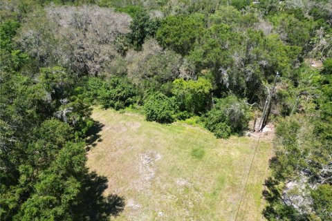 Terreno en venta en Safety Harbor, Florida № 1544767 - foto 4