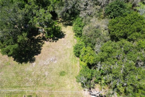 Land in Safety Harbor, Florida № 1544767 - photo 3