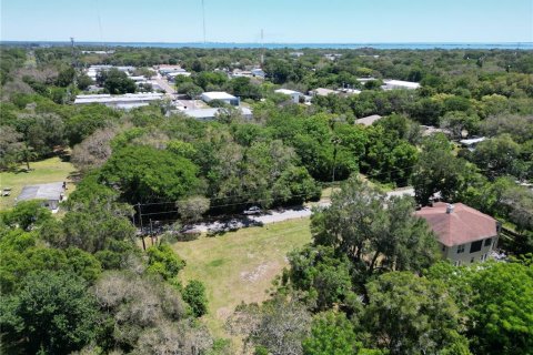 Land in Safety Harbor, Florida № 1544767 - photo 5