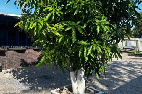 Купить виллу или дом в Лодерхилл, Флорида 5 спален, 140.1м2, № 1984602 - фото 7