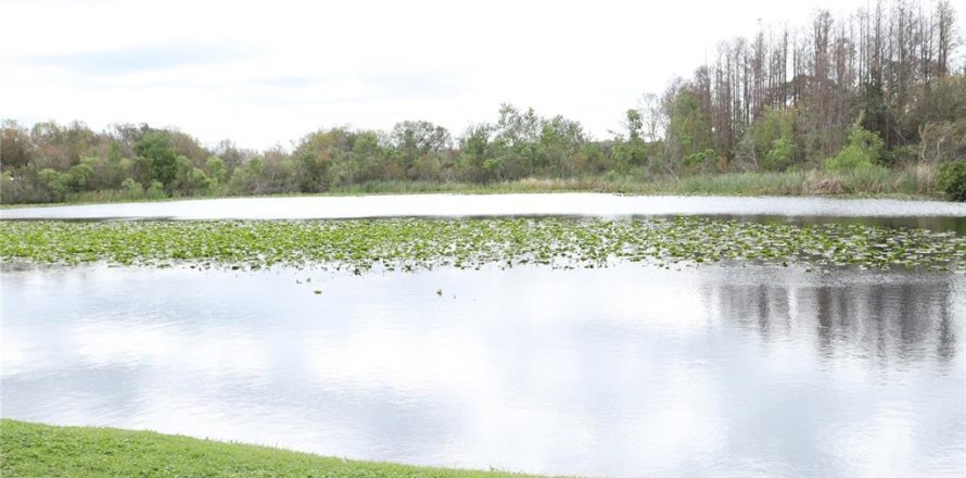 Condo in Tampa, Florida, 4 bedrooms № 1548521