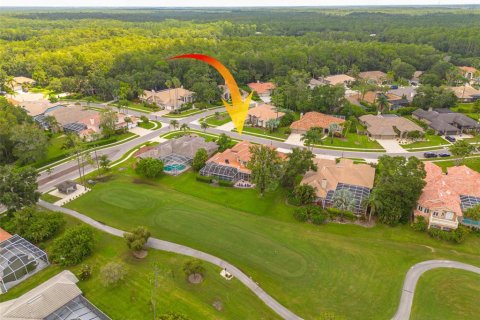 Casa en venta en Oldsmar, Florida, 4 dormitorios, 347.92 m2 № 1858023 - foto 3