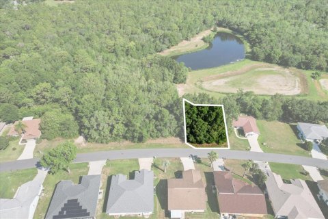 Terrain à Beverly Hills, Floride № 2160353