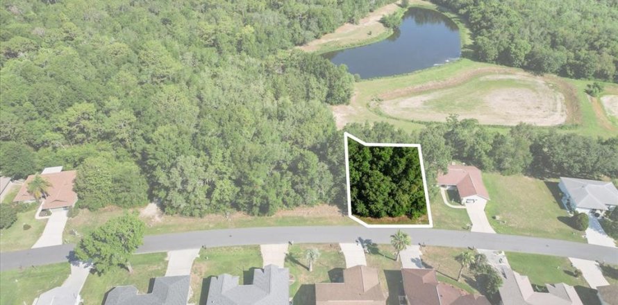 Land in Beverly Hills, Florida № 2160353