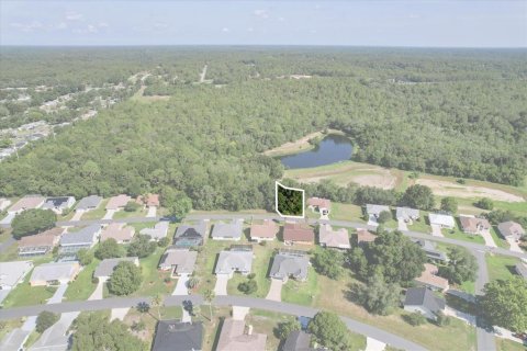 Land in Beverly Hills, Florida № 2160353 - photo 2