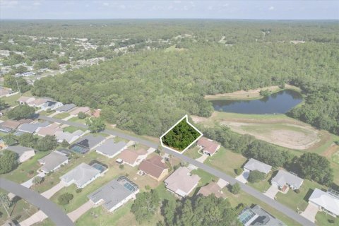 Land in Beverly Hills, Florida № 2160353 - photo 3