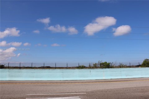 Commercial property in Florida City, Florida № 2082112 - photo 8