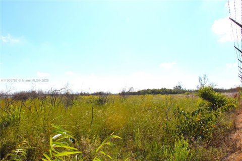 Commercial property in Florida City, Florida № 2082112 - photo 17