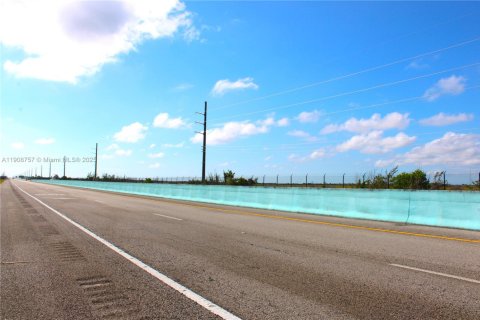 Commercial property in Florida City, Florida № 2082112 - photo 13