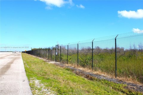 Commercial property in Florida City, Florida № 2082112 - photo 5