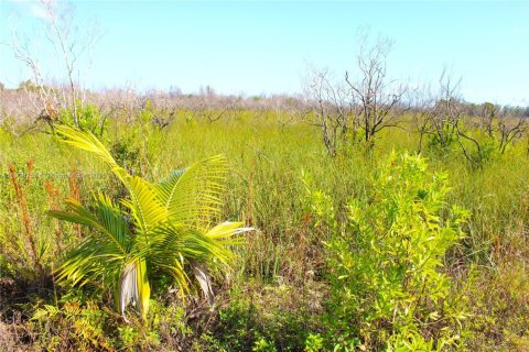 Commercial property in Florida City, Florida № 2082112 - photo 16