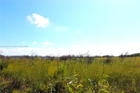 Commercial property in Florida City, Florida № 2082112 - photo 18