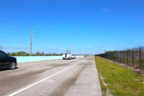 Commercial property in Florida City, Florida № 2082112 - photo 4