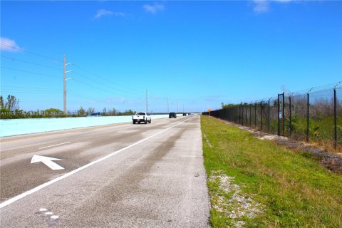 Commercial property in Florida City, Florida № 2082112 - photo 3