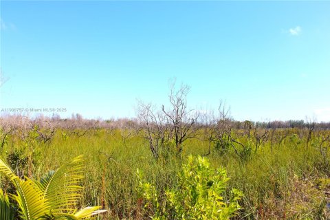 Commercial property in Florida City, Florida № 2082112 - photo 15
